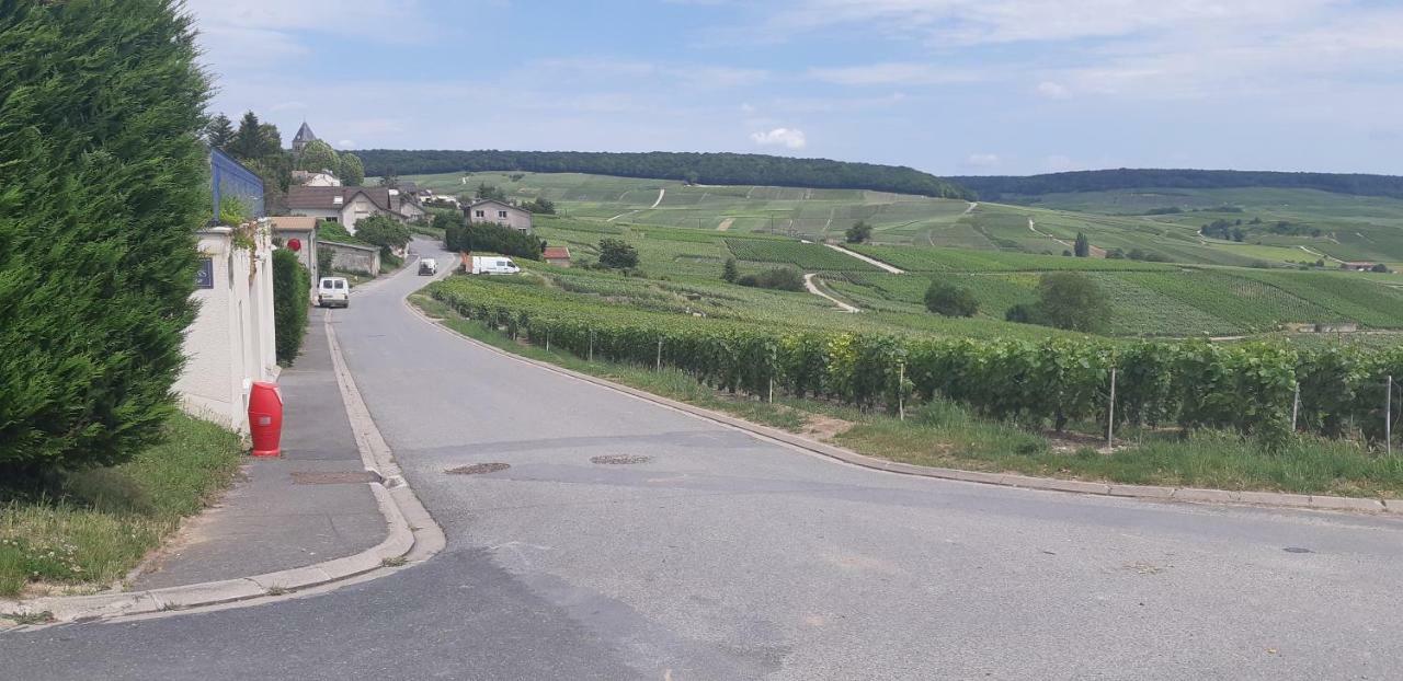 Flor'Ever En Champagne Fleury-la-Rivière Kültér fotó