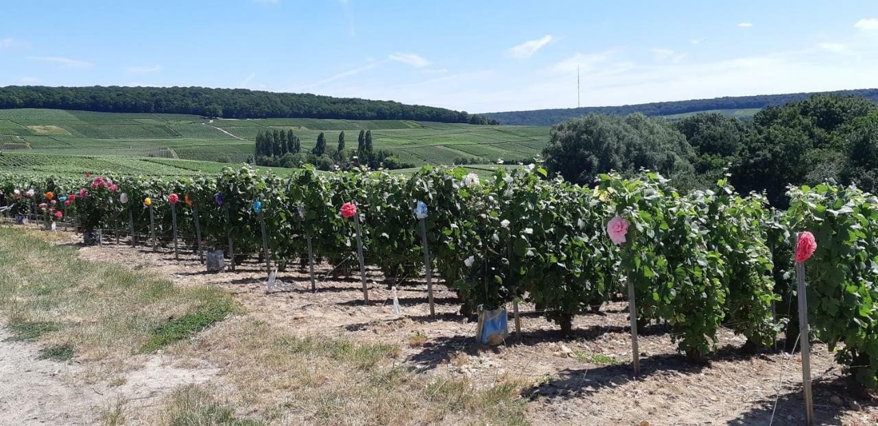 Flor'Ever En Champagne Fleury-la-Rivière Kültér fotó