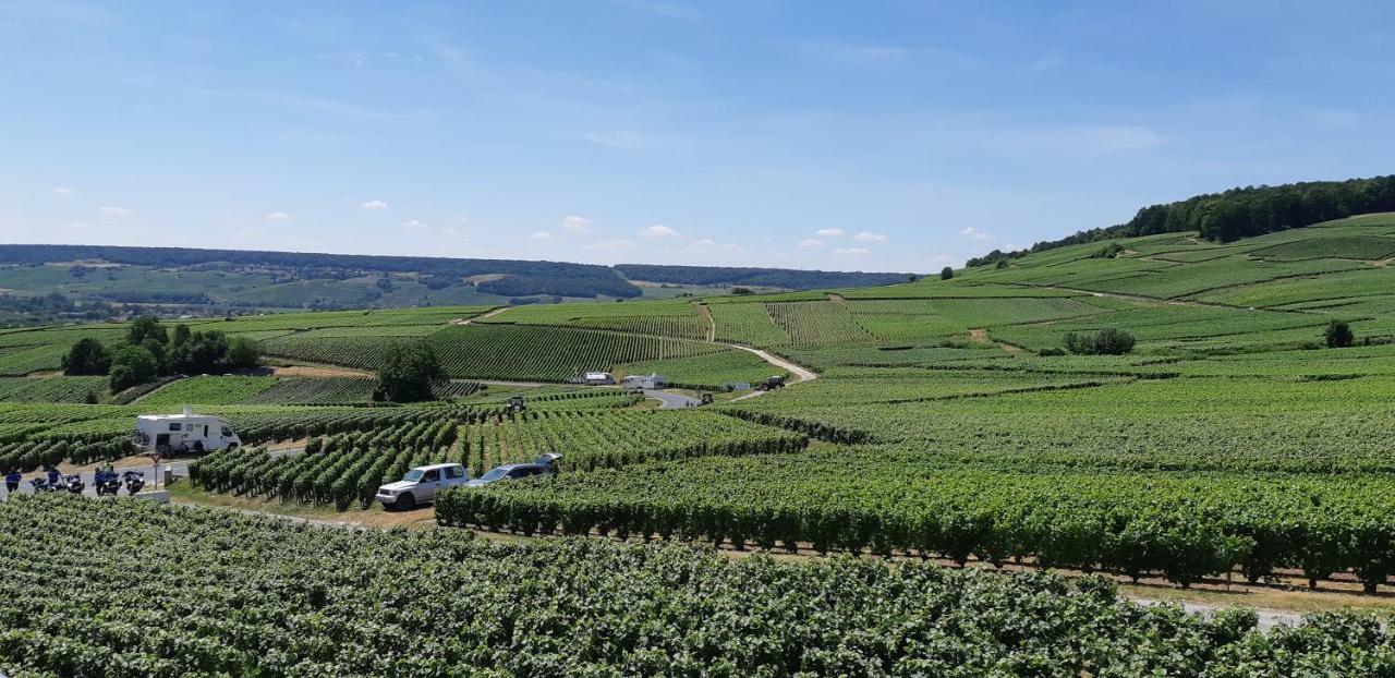 Flor'Ever En Champagne Fleury-la-Rivière Kültér fotó